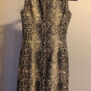 Calvin Klein Snakeskin Dress with Gold Zipper